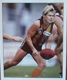 1994 Select AFL Stickers #149 Shane Crawford Front